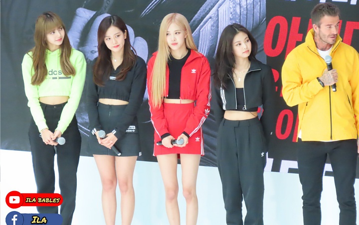 Media Korea Sengaja Tulis Kabar Buruk perihal BLACKPINK Soal Terlambat di Acara Bareng David Beckham? Media Korea Sengaja Tulis Kabar Buruk perihal BLACKPINK Soal Terlambat di Acara Bareng David Beckham?