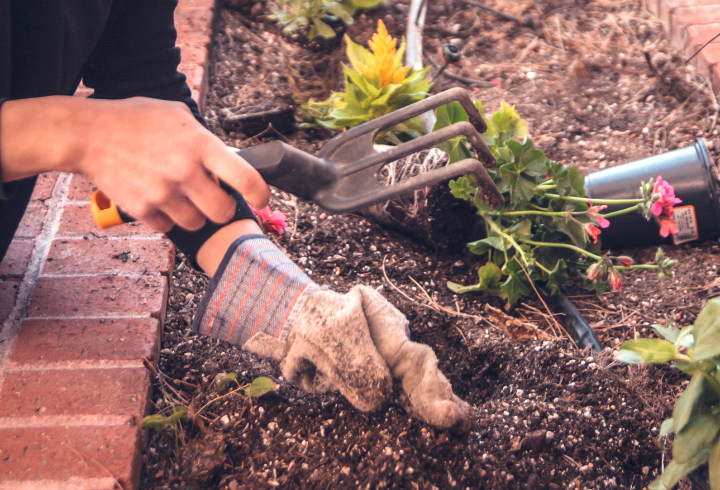 Enggak Ada Salahnya Mencoba Berkebun Sekaligus Membakar Kalori