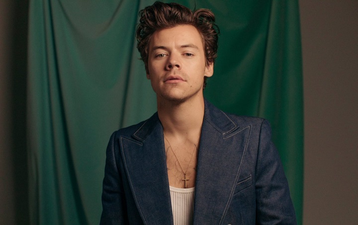 Cerita Ngeri Harry Styles yang Dikuntit Pria Tunawisma Tiap Hari Hingga Lapor ke Pengadilan
