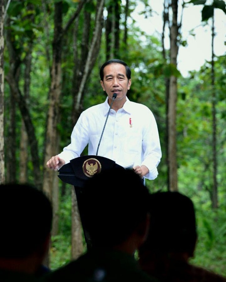 Awali Karier Politik Sebagai Walikota, Joko Widodo Dipercaya Jadi Presiden Selama Dua Periode
