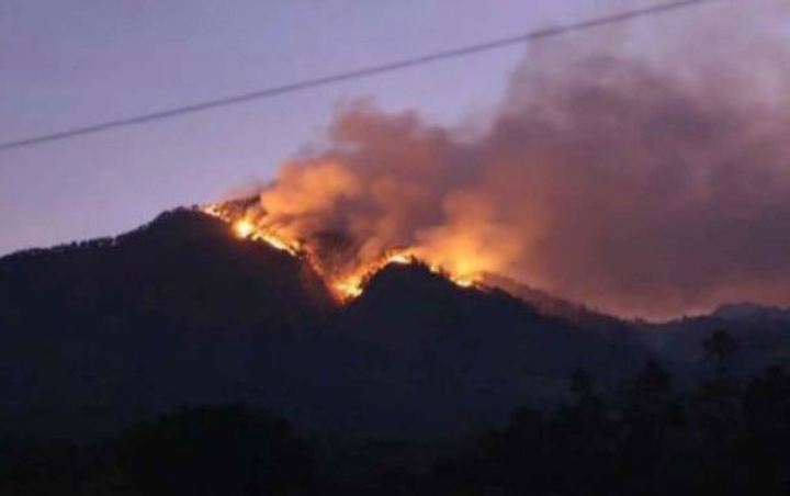 Dampak Kebakaran Capai 115 Hektare, Api di Gunung Semeru Belum Bisa Padam
