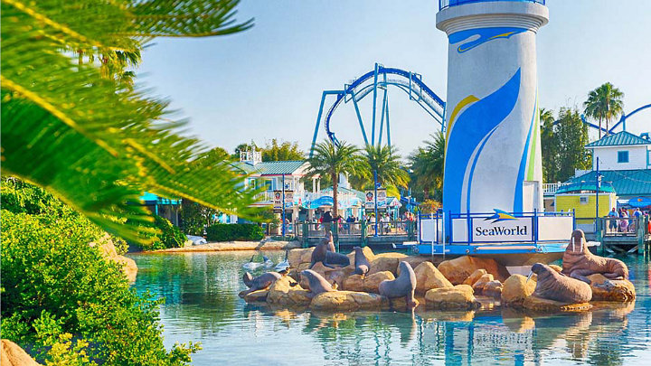 Nikmati Pemandangan Bawah Laut Di Sea World Jakarta