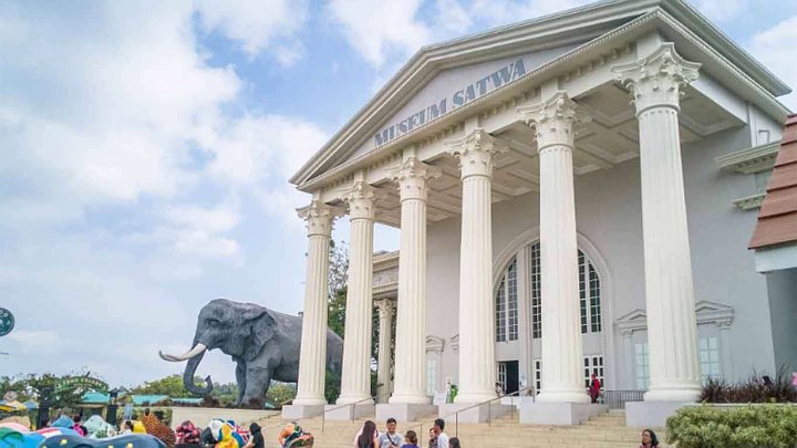 Kenali Sejarah Hewan Dengan Berkunjung Di Museum Satwa Batu