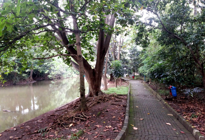 Penat dengan Sibuknya Jakarta? Segarkan Pikiranmu dengan Mendatangi Hutan Kota Srengseng