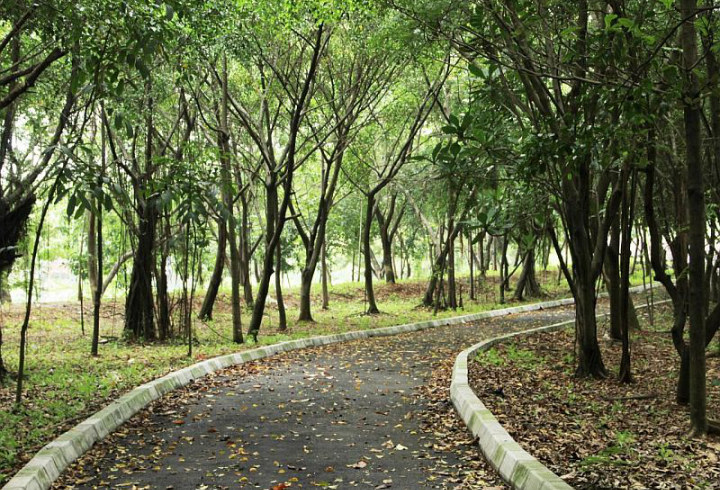 Nikmati Kesejukan Udara Jakarta di Hutan Kemayoran yang Indah