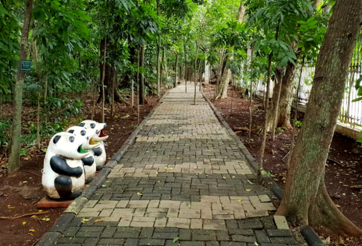 Ingin Jalan-jalan Murah dan Sehat di Jakarta? Mampir Aja ke Hutan Kota Cijantung