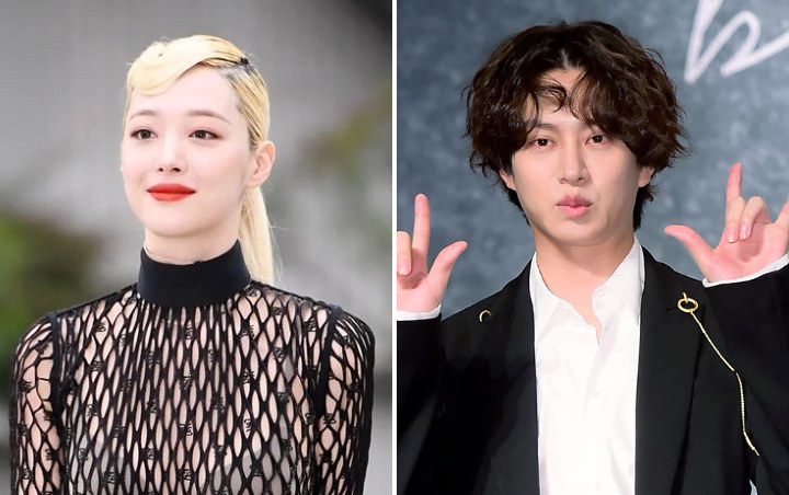 Kucing Kesayangan Sulli Kini Dirawat Kim Heechul SuJu?