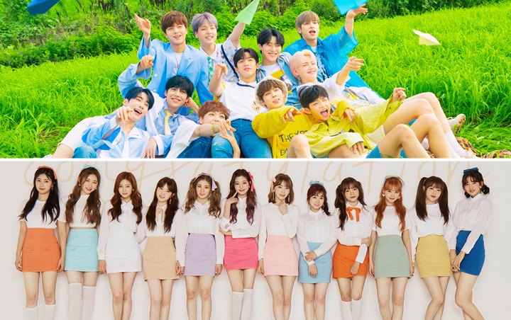 Petisi Nasional Blue House Dimulai Untuk Bubarkan IZ*ONE Dan X1 Menyusul Skandal Manipulasi