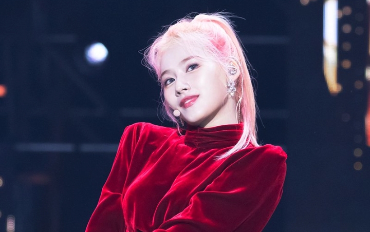 Sana Twice Buka-Bukaan Kali Diajak Nikah Fans Cewek Sana Twice Buka-Bukaan Kali Diajak Nikah Fans Cewek