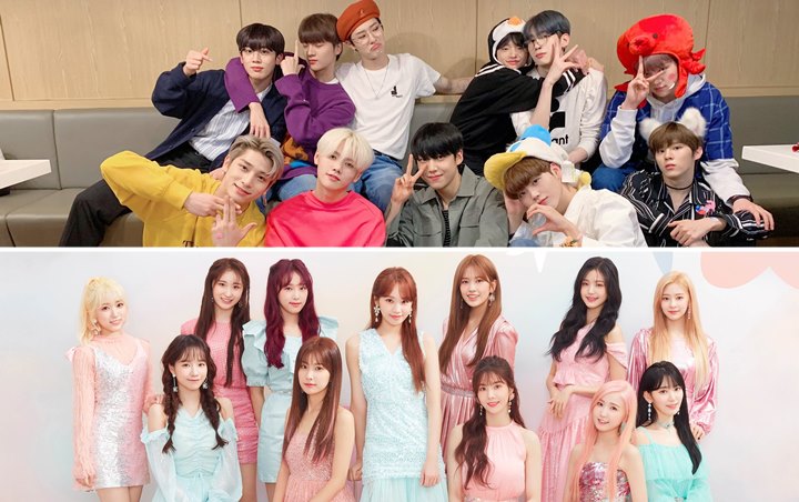 Iz One Dan X1 Diisukan Bubar Mnet Beber Masih Diskusikan Promosi Masa Depan Kedua Grup