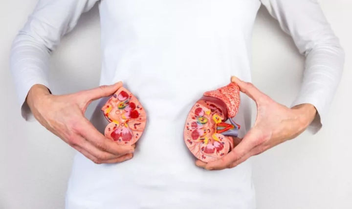 Diet Ini Juga Bisa Mengganggu Sistem Metabolisme 