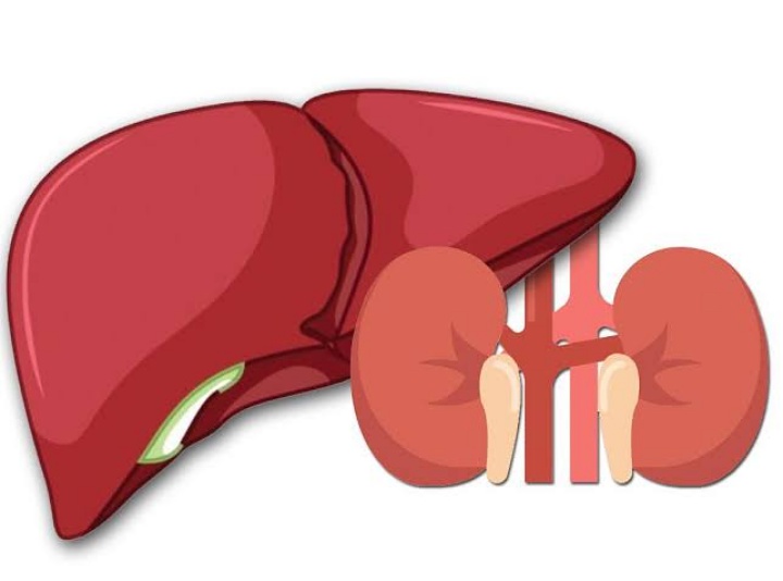 Kesehatan Hati dan Ginjal Juga Bisa Terganggu Gara-gara Diet Ini
