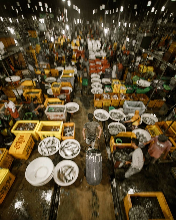 Pasar Ikan, Pilihan Objek Foto Yang Unik dan Penuh Cerita