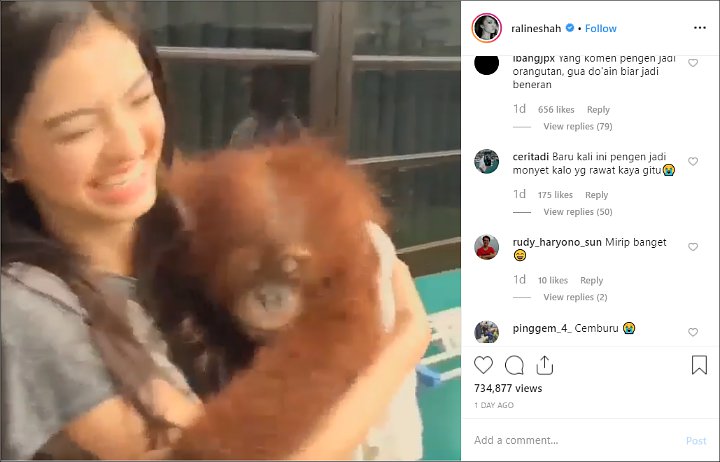 Aksi Raline Shah Gendong Hingga Dipeluk Orang Utan ‘Nakal’ Ini Berhasil Bikin Cemburu