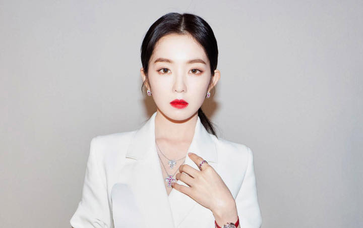 Asia Artist Awards 2019: Visual Irene Red Velvet Jadi Hot Topic Sampai Disebut Idol Tercantik