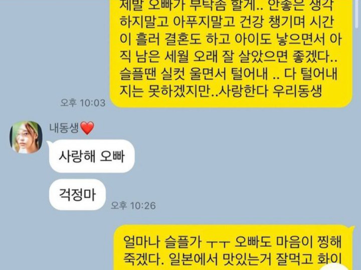 Ini Chat Terakhir Goo Hara dengan Kakak Laki-Lakinya Sebelum Meninggal