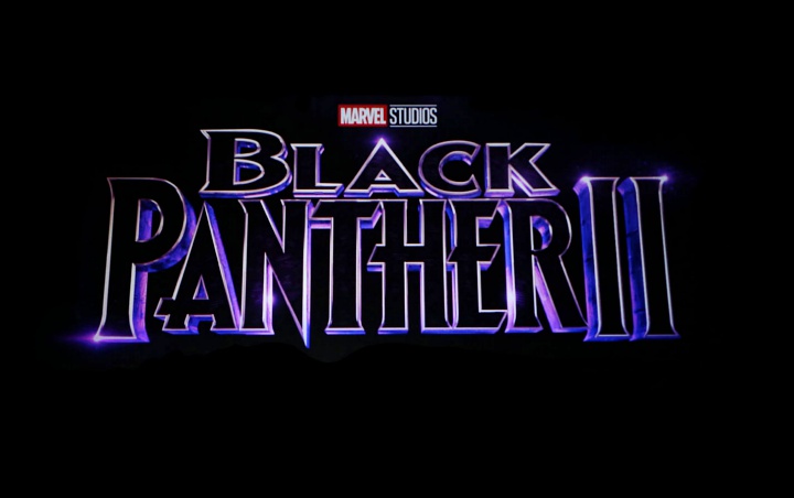 Inikah Sosok yang Jadi Villain di 'Black Panther 2'?