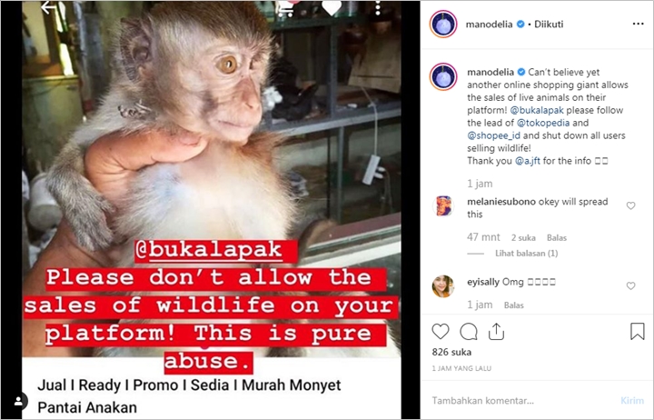 Manohara Kembali Tegur E-Commerce Ternama Yang Masih Izinkan Penjualan Satwa Liar