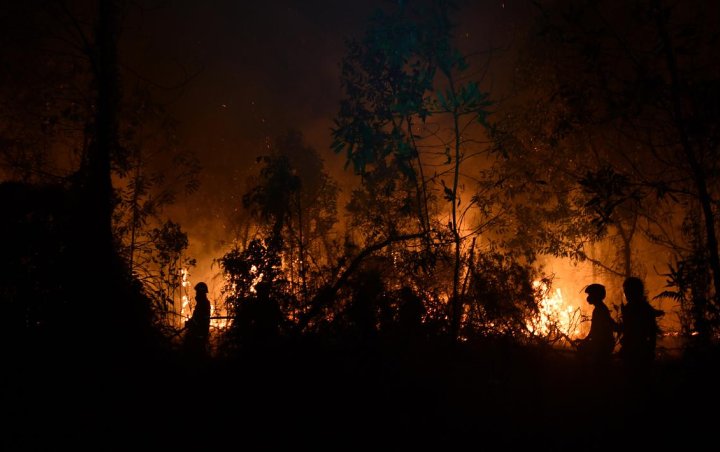 Karhutla 2019 Dinilai Terparah, Kerugian Ditaksir Sampai Rp72,95 Triliun