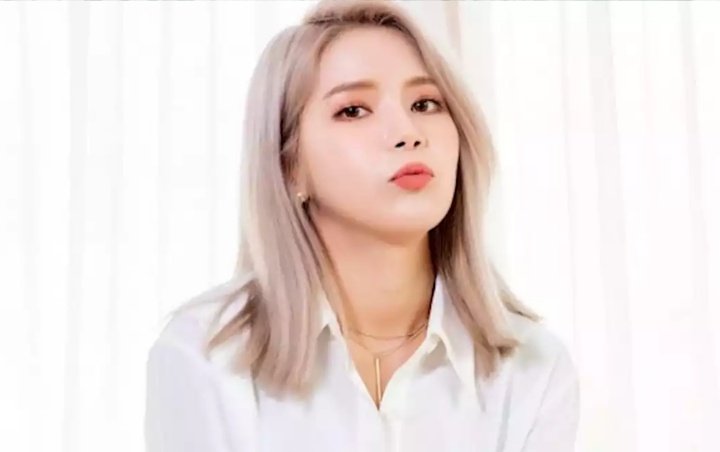 Solar Mamamoo Sempat Ingin Menjadi Karyawan JYP, Kenapa?