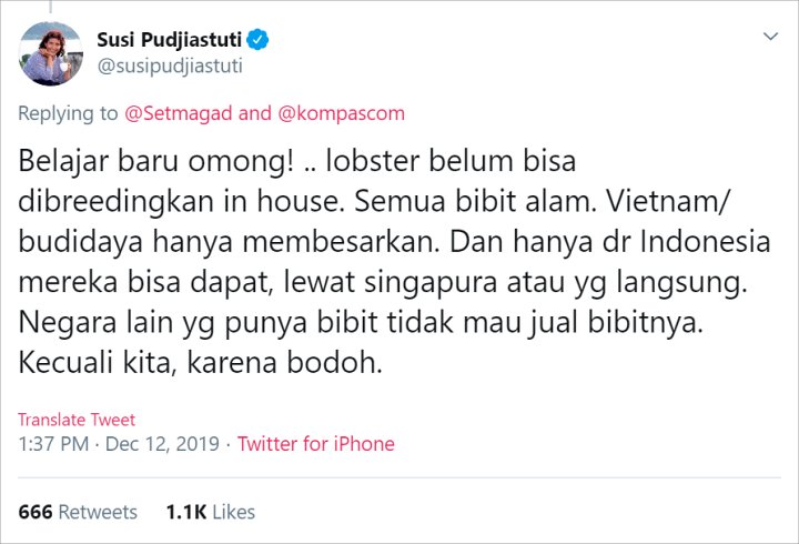 Masih Geram Soal Ekspor Benih Lobster, Susi Pudjiastuti Sebut Indonesia \'Bodoh\'