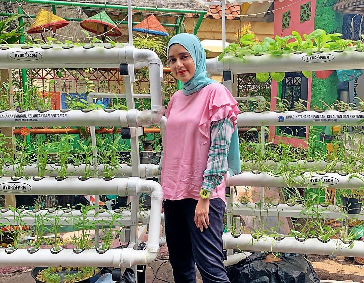 Fairuz A. Rafiq