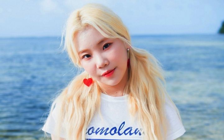 JooE Momoland Belikan Rumah dan Mobil Mewah untuk Orangtua, Netizen: Padahal Cuma Idol Kelas C