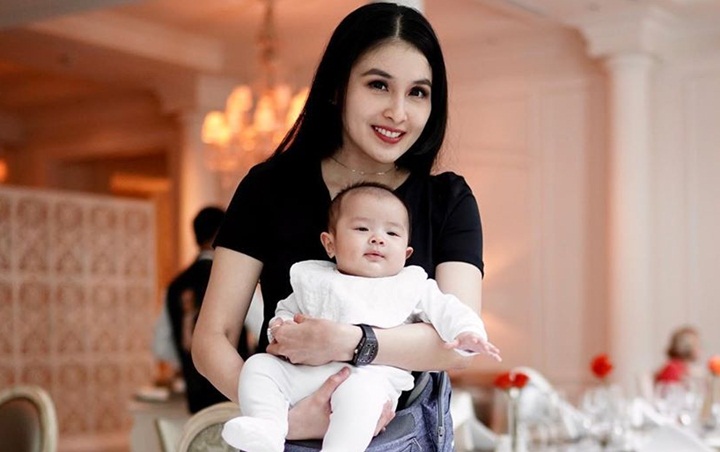  Gemasnya Putra Bungsu Sandra Dewi Beri Tatapan Melongo Saat Dikemas Masuk Koper
