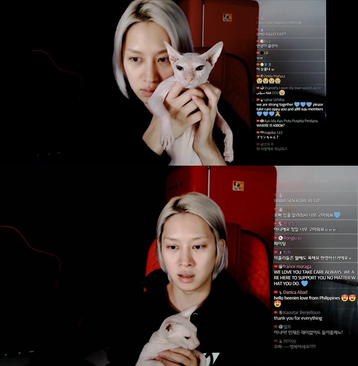 Kim Heechul Buka-Bukaan Soal Rawat Kucing Sulli, Ungkap Cerita Memilukan Ini