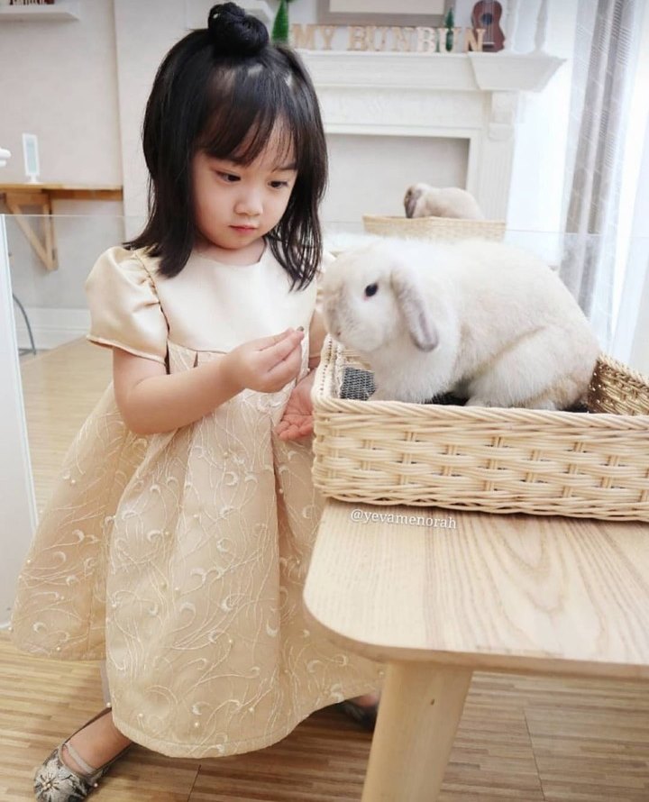 Pecinta Kelinci Harus Banget Mampir ke My BunBun Rabbit Café di Jakarta