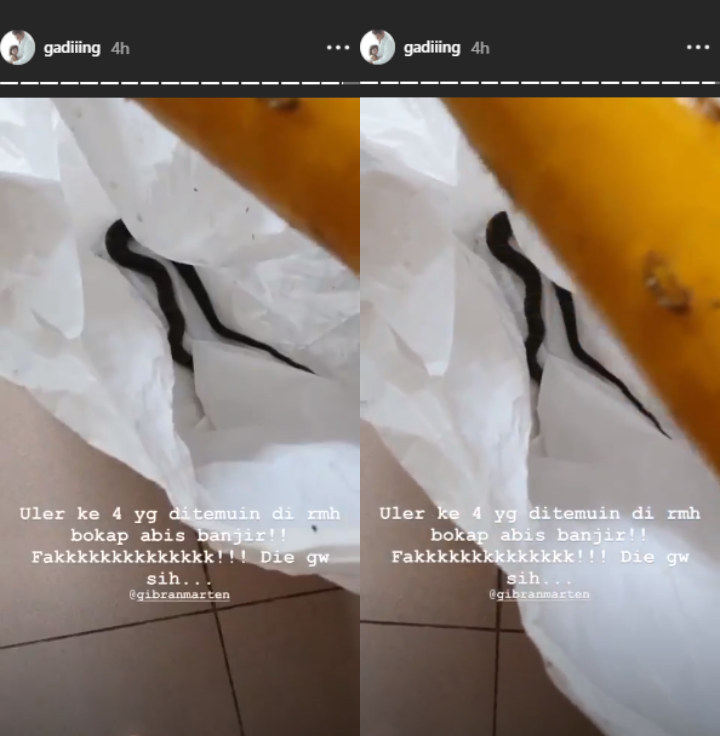 Rumah Roy Marten Ada Ular