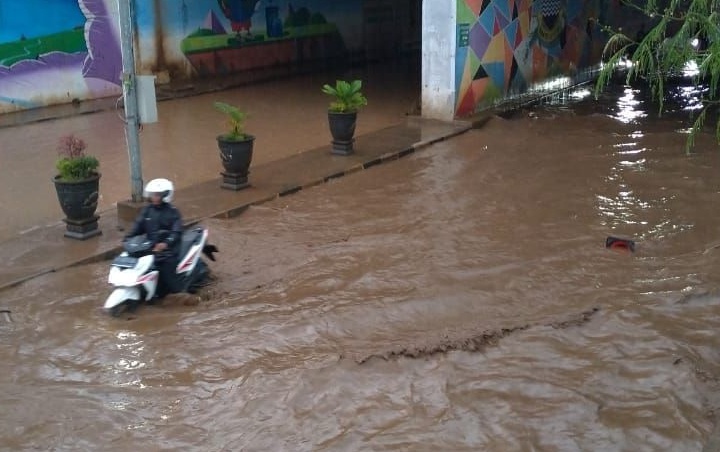 Viral Satelit Google Sudah Ramalkan Dampak Banjir Jakarta