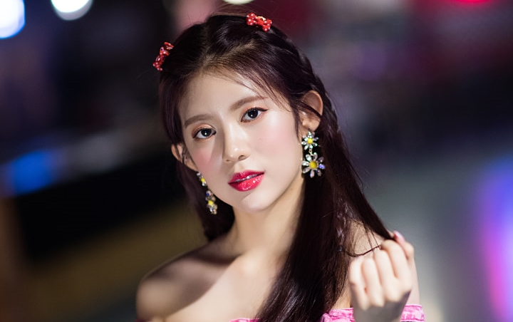 Daisy Blak-Blakan Bongkar Finalis Finding Momoland Debut Hasil Manipulasi Daisy Blak-Blakan Bongkar Finalis Finding Momoland Debut Hasil Manipulasi