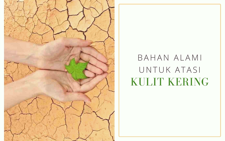 8 Bahan Alami Ini Ampuh Banget Atasi Kulit Wajah yang Kering, Aman dan Ramah di Kantong!