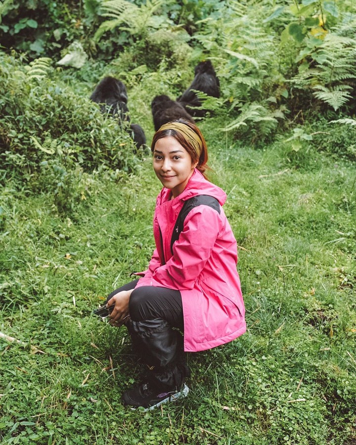 Jajal Wisata Menarik Bertemu Gorila