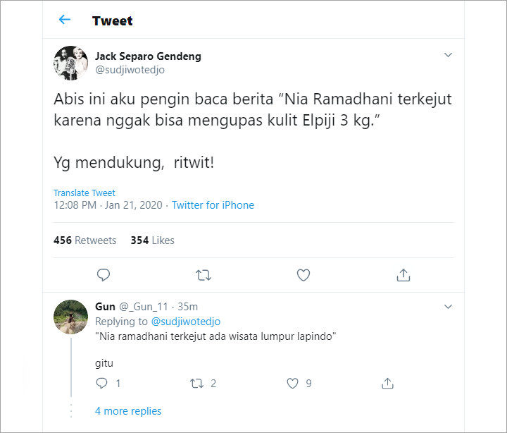 Sujiwo Tejo Sindir Nia Ramadhani