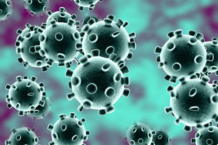 Awal Mula Ditemukannya Virus Corona Yang Mewabah