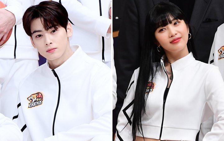 Cha Eunwoo Dipuji Habis-Habisan di 'Handsome Tigers', Joy Beberkan Kelemahan Ini