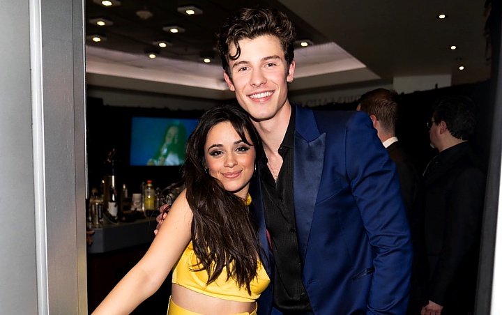 Grammy Awards 2020: 'Senorita' Kalah, Camila Cabello dan Shawn Mendes Gagal Buka Baju 