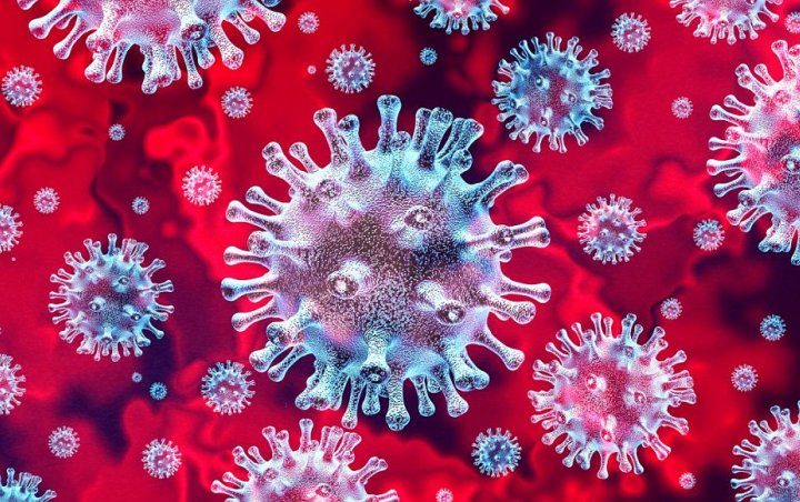 Terus Timbulkan Korban, Asal Wabah Virus Corona Akhirnya Terungkap