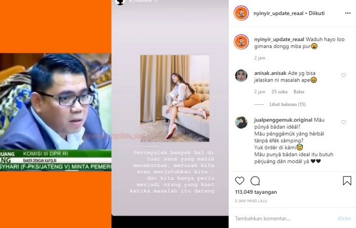 Siwi widi