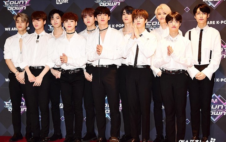 Terbongkar Ada Trainee Produce Yang Tidak Berharap Debut, Internet Bela X1 Mati-Matian Terbongkar Ada Trainee Produce Yang Tidak Berharap Debut, Internet Bela X1 Mati-Matian