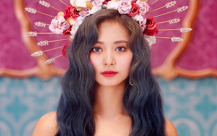 Foto Tzuyu yang Dipuji Bak Boneka Hidup Ternyata Hasil Karya Member Twice