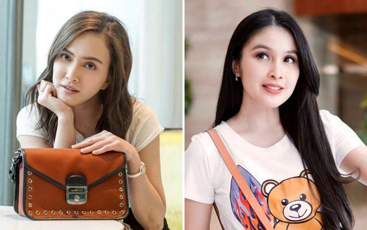 Baru Lahir, Bayi Cantik Shandy Aulia Jadi 'Calon Istri' Putra Sandra Dewi