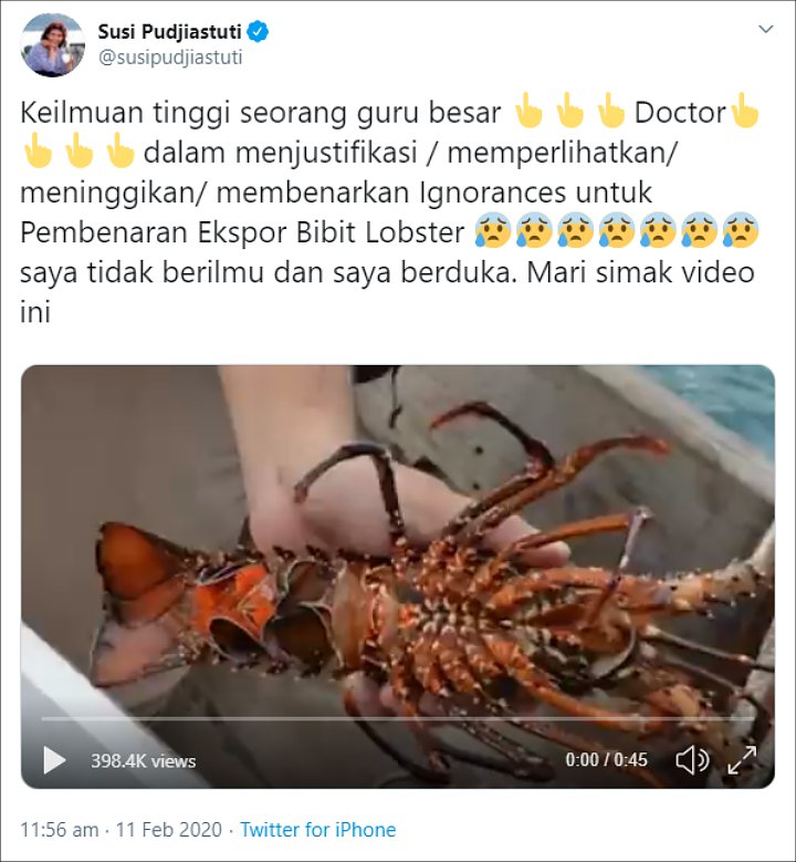 Ekspor Benih Lobster Masuki Babak Baru, Kali Ini Effendi Gazali Tantang Eks KKP Susi