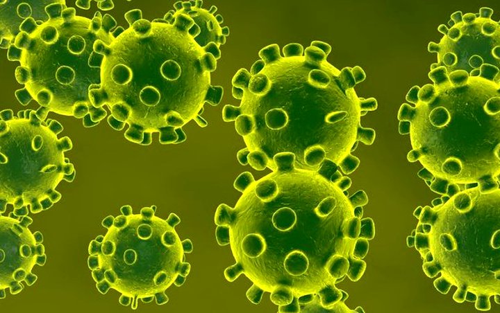 Korut Perpanjang Karantina Warga Asing Hingga Sebulan Cegah Virus Corona