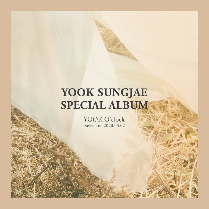 Sungjae BTOB Umumkan Baka Segera Rilis Album Solo Milik Nya Yang Berjudul 'YOOK O'Clock'