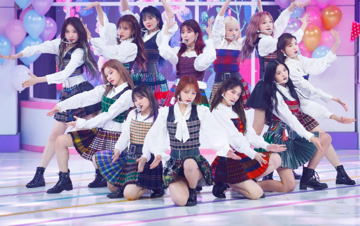 Memar Hitam, Kondisi Lutut Member-Member IZ*ONE Memprihatinkan