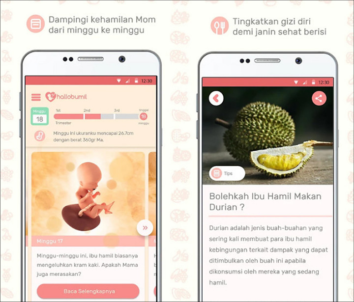 Aplikasi Kehamilan Lengkap
