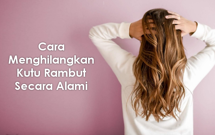 Lebih Aman dan Tak Perlu Habiskan Banyak Biaya, Ini 8 Cara Alami Untuk Menghilangkan Kutu Rambut